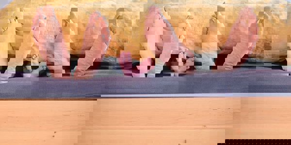 Simon Berger Hsy0qxirafg Unsplash