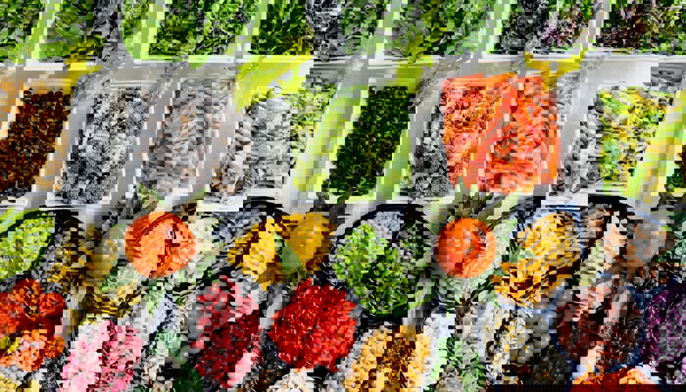 Dan Gold 4 Jhdo54byg Unsplash