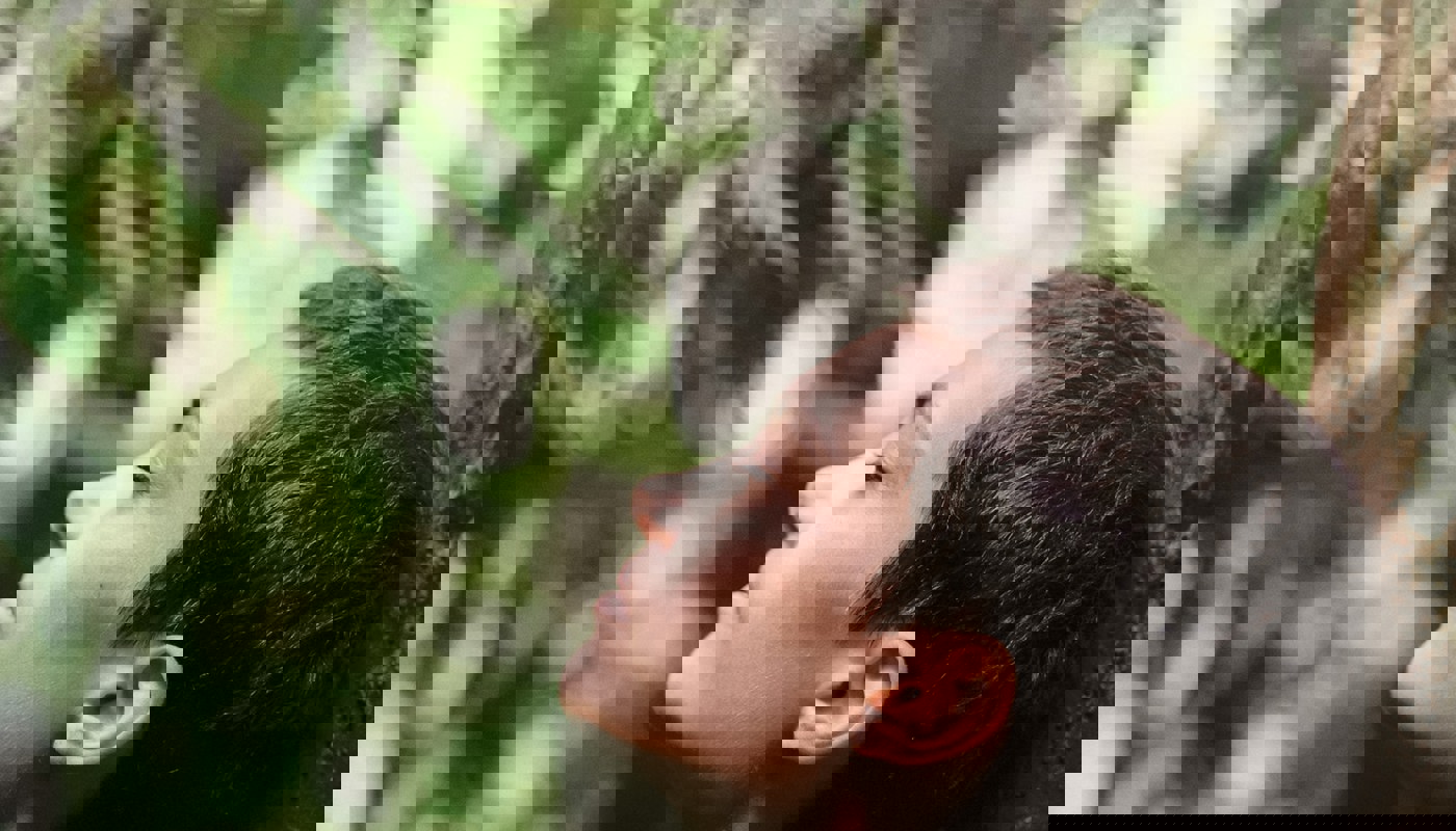Motoki Tonn X00q3rxcyz4 Unsplash
