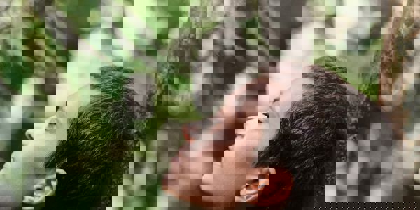 Motoki Tonn X00q3rxcyz4 Unsplash