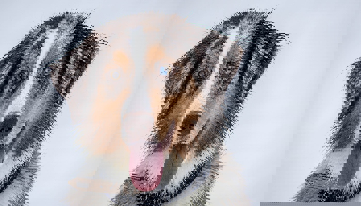 Imelda A0jymnoupy8 Unsplash