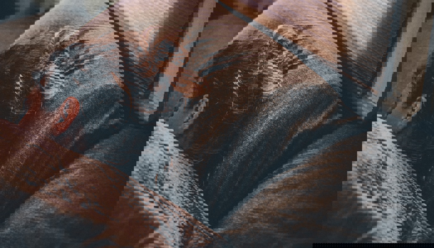 Gregory Pappas Ruc9hve L E Unsplash